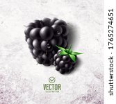 vector realistic blackberry... | Shutterstock .eps vector #1765274651
