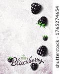 vector realistic blackberry... | Shutterstock .eps vector #1765274654