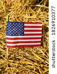 American Flag In A Bed Of Straw