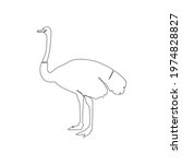 Line Drawing Ostrich Bird...