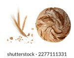 Whole round loaf of fresh baked rye wheat bread with crumbs and spikelets closeup isolated on white background