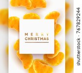 merry christmas card. fruit... | Shutterstock .eps vector #767829244