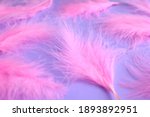 Pink Feathers Of A Bird On A...