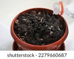 Small photo of moistening the soil for planting in a brown flower pot with clean water pouring from a plastic bottle, watering the potting soil with a jet of water from a bottle