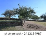 Small photo of Closer look at banquette with platforms of Circle 2 main Guachimontones circular pyramid ruins with green grass and blue sky. One of the Teuchitlan Culture sites within the Tequila Valleys.
