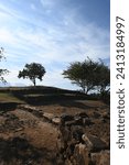 Small photo of Closer look at banquette with platforms of Circle 2 main Guachimontones circular pyramid ruins with green grass and blue sky. One of the Teuchitlan Culture sites within the Tequila Valleys.