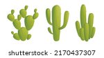 Set Of Cactus Vector...