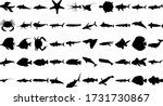 Vector Set Of 50 Various Fish...