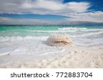 Dead Sea Salt Shore. Ein Bokek  ...