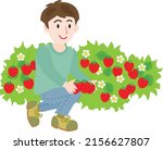 the man who does strawberry... | Shutterstock .eps vector #2156627807