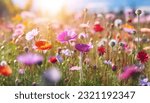 Small photo of A beautiful spring flower field summer meadow. Natural colorful landscape with many wild flowers of daisies against blue sky. A frame with soft selective focus. Magical nature background blossom