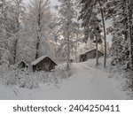 Small photo of Old croft in the forest in winter time