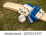 Small photo of Cricket bat, white cricket ball and cricket gloves on playing ground of grass pitch field.
