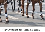 Small photo of Horse of Calcutta Police are going to participate in republic day acrimony.