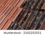 Small photo of Photography of washed and non-washed roof tiles. Tiles covered with lichen, mould and moss and cleaned tiles. Close-up. Black and orange tiles. Old and new.