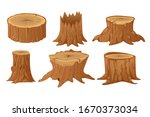Collection Of Tree Stumps And...