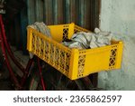 Small photo of an old brownish-red bicycle leaning against a dull white wall, with the paint slightly peeling, and a dull green steel gate, on top of which there is a bright yellow plastic crate, with a dull cloth i