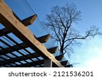 Small photo of brown glued wooden structure of the pergola supported by smooth cylindrical white columns shelter of a gazebo pergola. the roof is made of slats and glass panes, tree top, kvh, maple bare tree