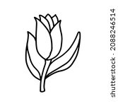 tulip in doodle style. isolated ... | Shutterstock .eps vector #2088246514