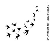 A Flock Of Birds  Swallows  Go...