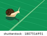  Snail. Vector Illustration And ...