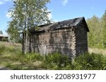 A photo of an old wood shed taken in the summer. Birch in front. In the background green meadow and forest and blue sky.