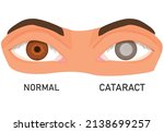 illustration of eyes with... | Shutterstock .eps vector #2138699257