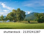 Traveling and camping concept.  Camping tent in forest near lake with grassland and blue sky at the morning. natural landscape in Kanchanaburi province, Thailand at summer time so warm and relax.