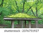 Mossy Roof Of a Picnic Shelter At A Rest Stop Off The Highway