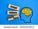 Small photo of brain and stick shapes with the words Hunger, Fullness, and Appetite Signals. brain fullness