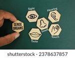 hexagons with five Sense organs icons namely sight, hearing, smell, teste and touch. basic 5 human senses