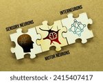 Small photo of wooden puzzle with icons of sensory neurons, motor neurons, and interneurons. the neurons found in the human nervous system