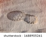 Footprint From A Shoe On White...