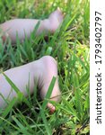 Small photo of Baby feet in the grass. The first time in the grass can be fun milestone for a baby, but bringing a baby in to the grass too soon can irritate their skin.