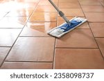 Flat wet-mop made of microfiber wipes the tiled terracotta floor, daily cleaning routine for a hygienic and healthy home, copy space, selected focus, narrow depth of field