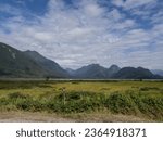 Small photo of Pitt Meadows, BC, Canada - September 17, 2023 : Views of Pitt River Dike Scenic Point in Pitt Meadows, BC, Canada