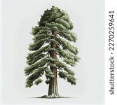 Realistic Green Tallest Tree In ...