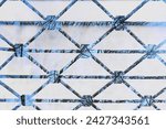 Small photo of decorative lattice, metal lattice, abstract photo, metal lattice, fb abstraction, fantasy photo, forged metal lattice