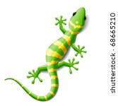 Green Lizard Vector Image - Free Stock Photo - Public Domain Photo 