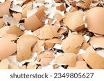 Group of broken egg shells in plastic flower pot. Recycling kitchen waste, Crushed egg shells for the compost and garden.