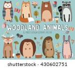Cute Woodland Animals And...