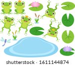 Set of Cute Frog and Frog Prince cartoon characters. Vector illustration. Amphibian drawing. Happy frog sit and jump clip art, different pose, with pond, plants, dragonfly. Colorful graphic elements.