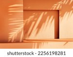 Minimal product placement background with palm shadow on plaster wall. Luxury summer architecture interior aesthetic. Creative boho concept home product platform stage mockup