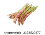 Small photo of Common bean pods isolated on white. Phaseolus vulgaris green with pink spots cultivar