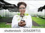 Small photo of Young African female with black hair biologist taking green seedling from shelf while doing research of new sorts of plants in greenhouse.