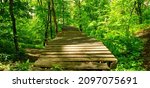 footbridge crossing the dense... | Shutterstock . vector #2097075691