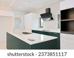 Small photo of Green color was added to the white kitchen interior as an accent