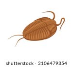 Evolution of life forms on Earth. Sticker with ancient trilobite living in ocean. Extinct animal azafus. Cambrian period of Paleozoic era. Cartoon flat vector illustration isolated on white background