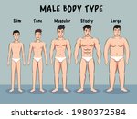 male body type cartoon vector | Shutterstock .eps vector #1980372584