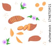 Sweet Potato Pattern. Hand...